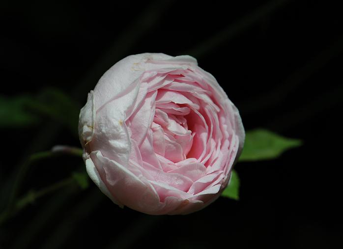 f0207681_16251850.jpg