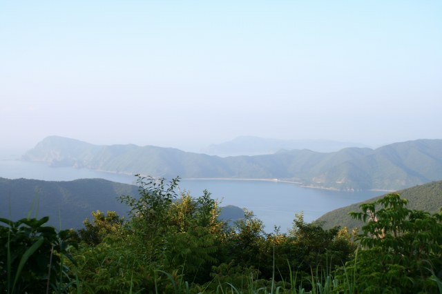b0115085_7401923.jpg