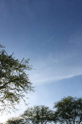 c0130986_21314214.jpg