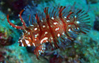 c0018489_055290.jpg