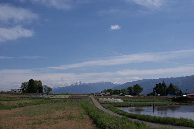 f0079289_2333587.jpg