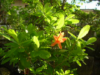 c0029190_18554116.jpg