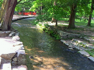 e0017290_225548.jpg
