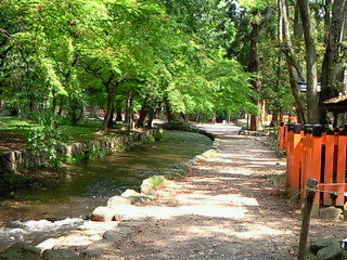 e0017290_2258637.jpg