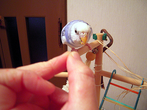 d0131293_221033.jpg