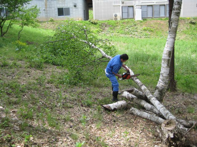 c0099395_1524563.jpg