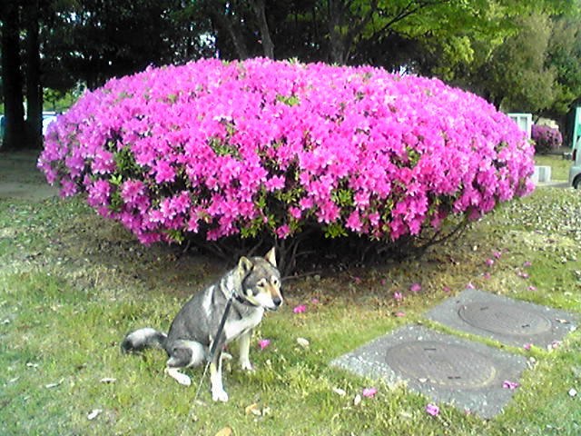 f0079202_194142100.jpg