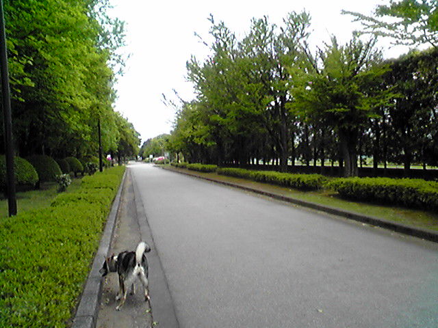 f0079202_19414241.jpg
