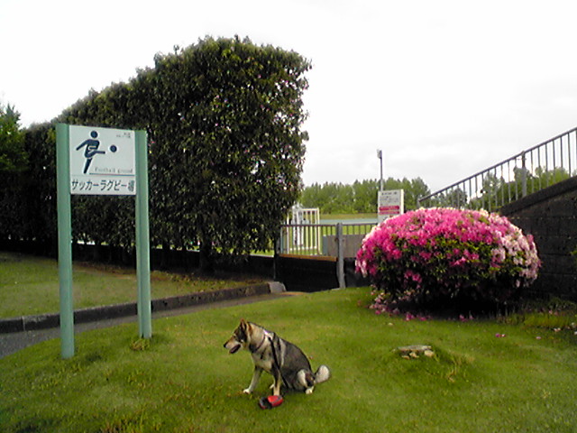 f0079202_19414276.jpg
