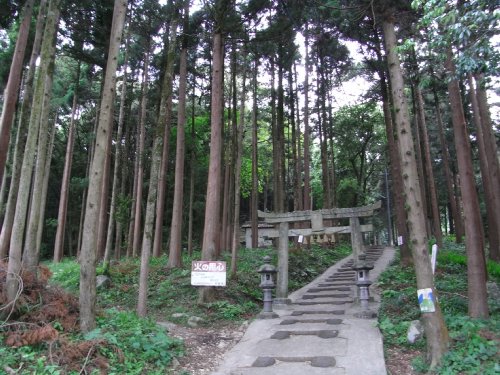 f0187402_2123784.jpg