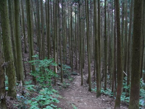 f0187402_21243020.jpg