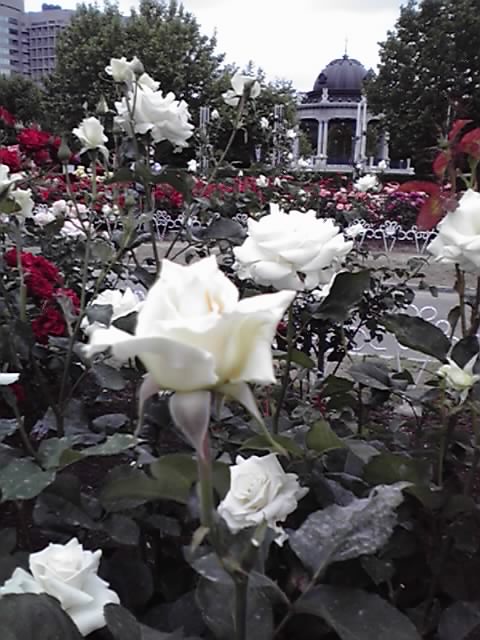 c0152507_19203413.jpg