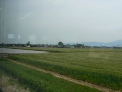 f0006509_2326313.jpg