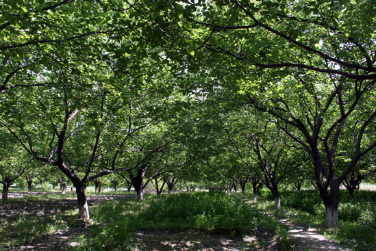 e0063212_23374054.jpg