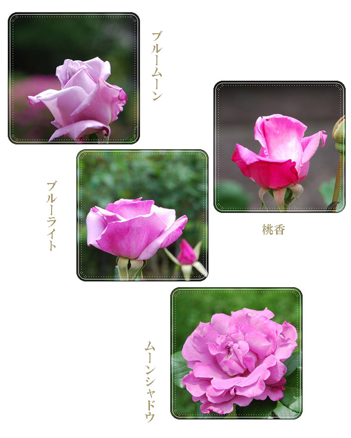 d0080118_22472148.jpg
