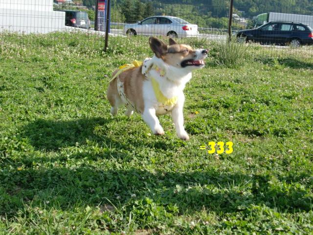 f0182121_22362919.jpg