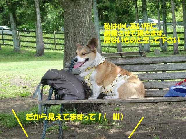 f0182121_23184359.jpg