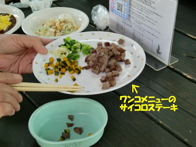 f0182121_232839.jpg