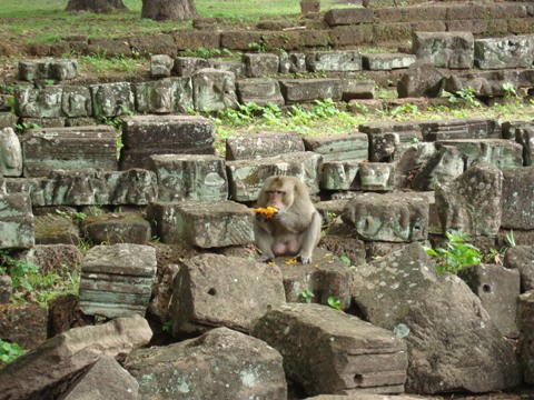 e0175123_12581812.jpg