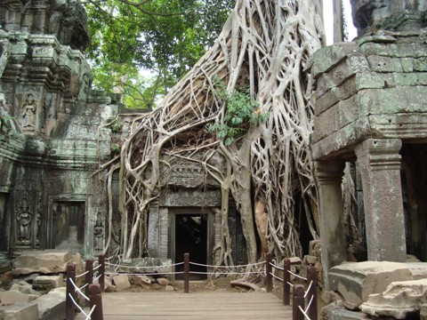 e0175123_1305570.jpg