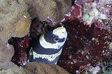 f0206424_1652448.jpg