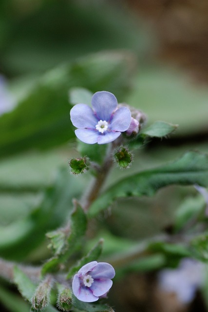 c0027027_22384371.jpg