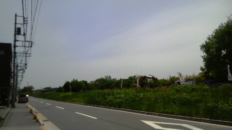 f0192531_1194970.jpg