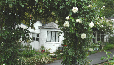 f0029536_169666.jpg