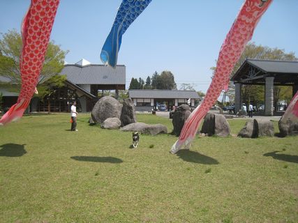 f0058241_1495167.jpg