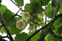 f0201348_1627834.jpg