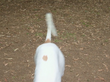 c0078451_9351351.jpg