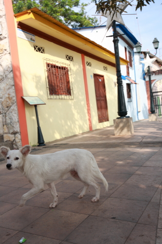 d0021952_22464555.jpg
