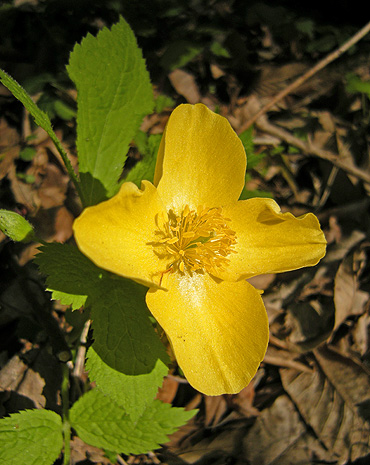 a0001354_22255615.jpg