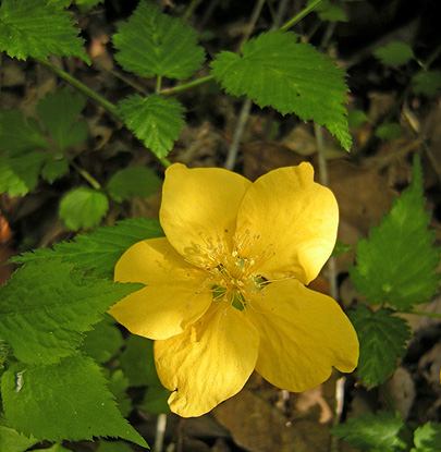 a0001354_2228733.jpg