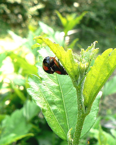 d0091754_09320.jpg