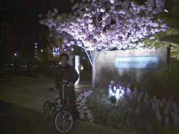 a0004359_23325159.jpg