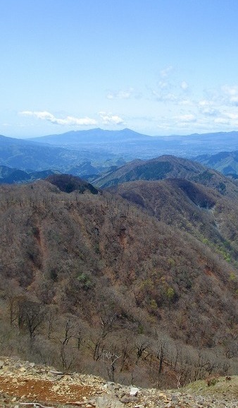 c0119160_76444.jpg