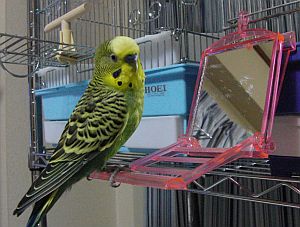 f0196665_0165414.jpg