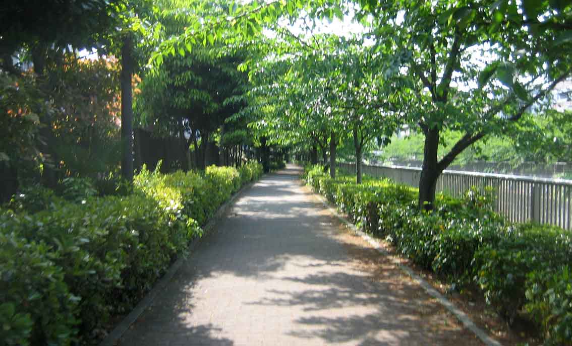 b0057679_854541.jpg