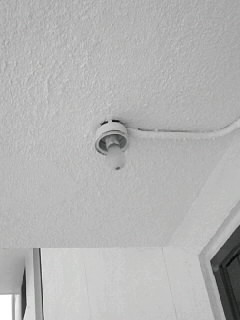 f0100480_184484.jpg