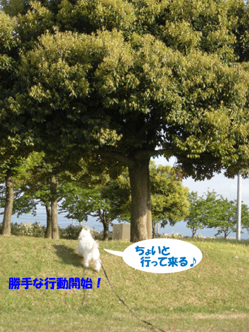 e0066883_053127.gif