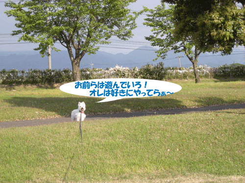 e0066883_0542014.gif