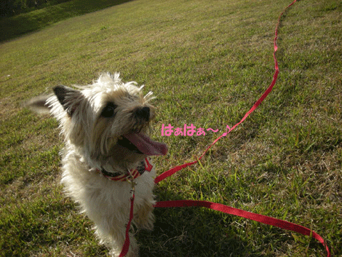 e0066883_0551873.gif