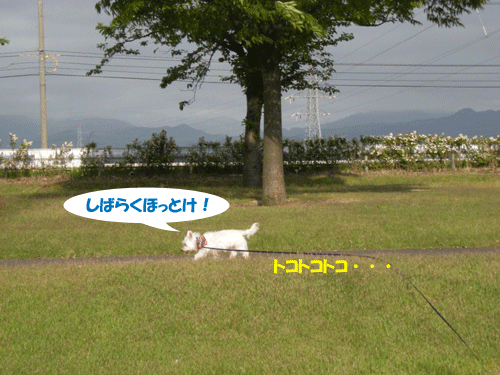 e0066883_0582779.gif