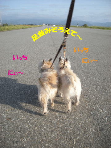 e0066883_135319.gif