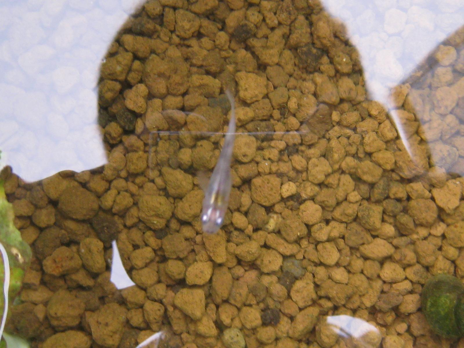 e0176785_17132828.jpg