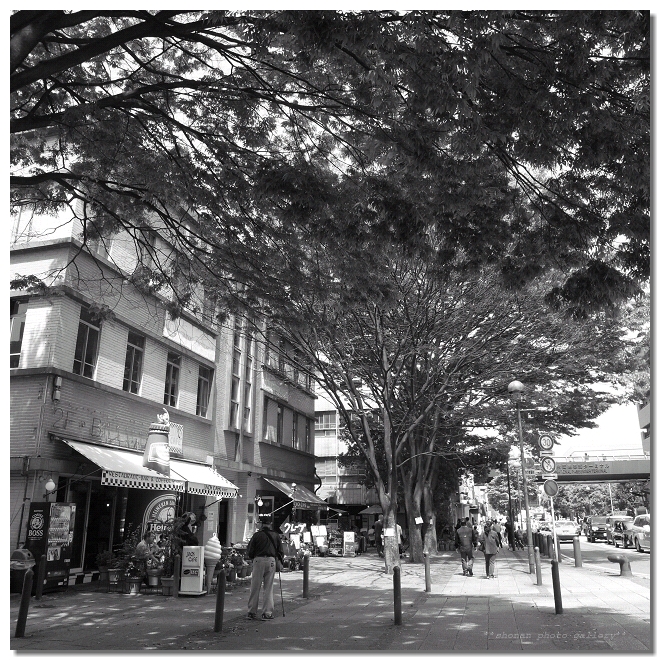d0066488_11262789.jpg