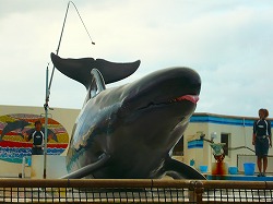 a0003089_9334593.jpg