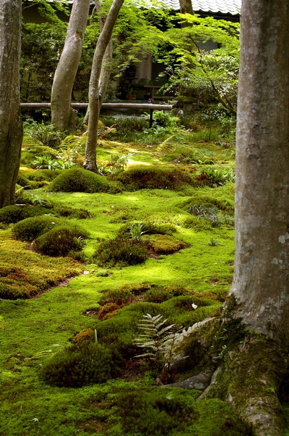 b0080789_003638.jpg