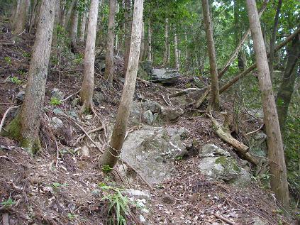 f0202990_2138487.jpg